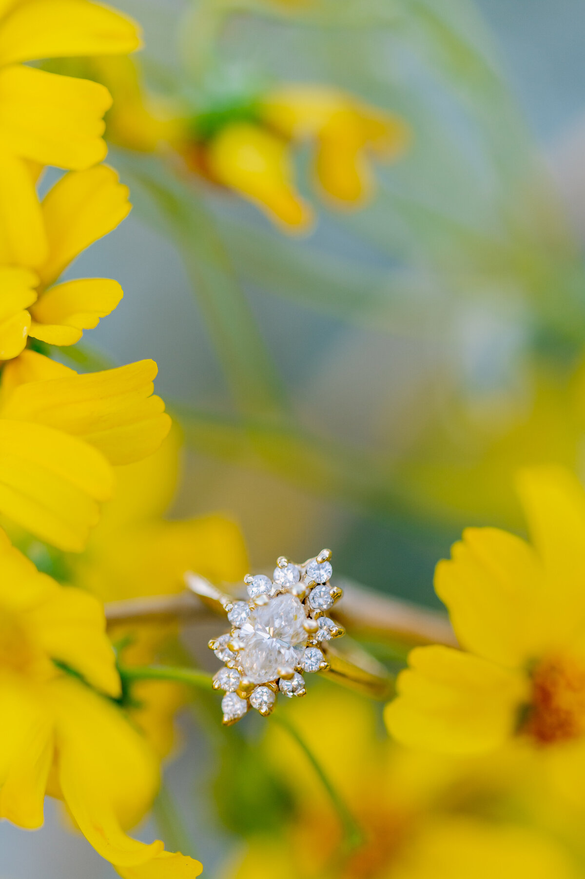 Tempe Town Lake Engagement Session - Britain & Cory-1