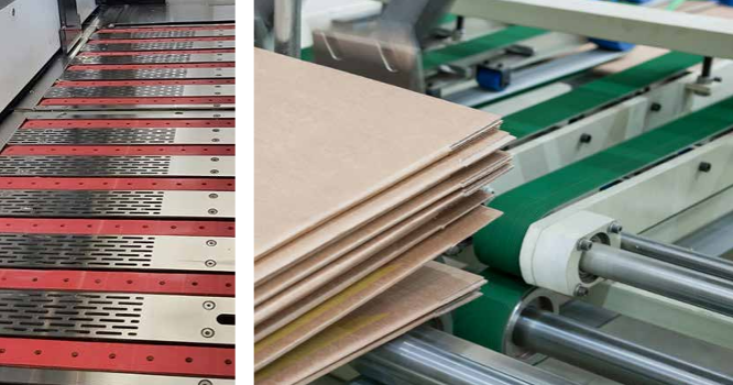 Printing and Distribution Conveyor Belt by C&E Chiorino