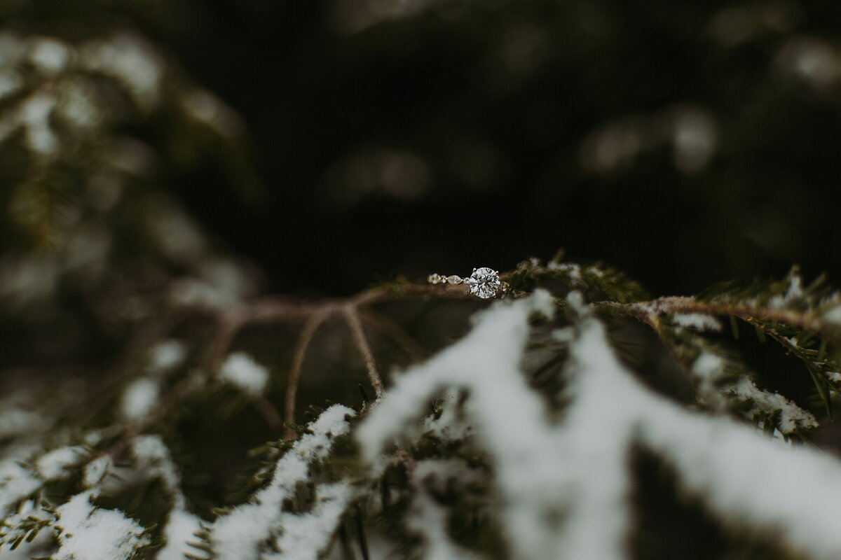 MackenzieKadinEngagement-113