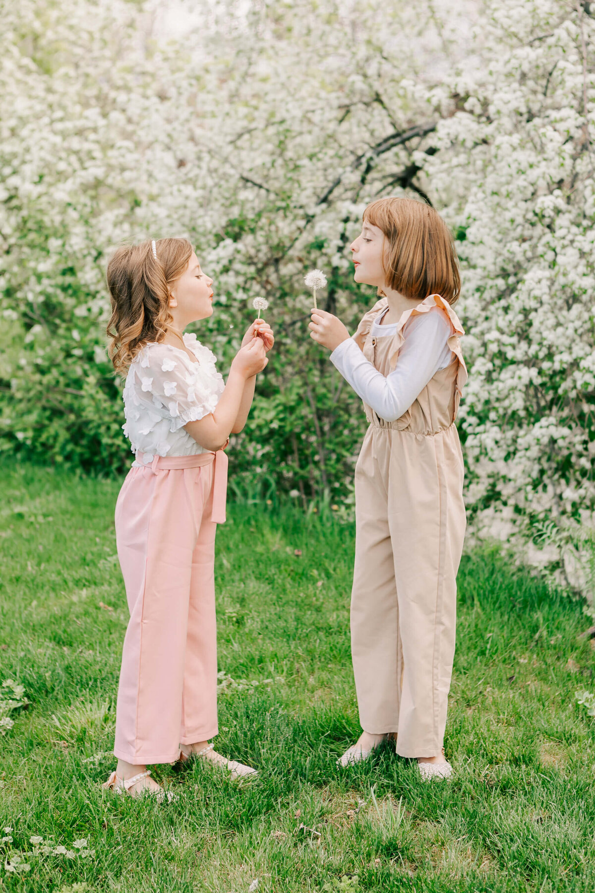 Albany-Family-Photographer-996