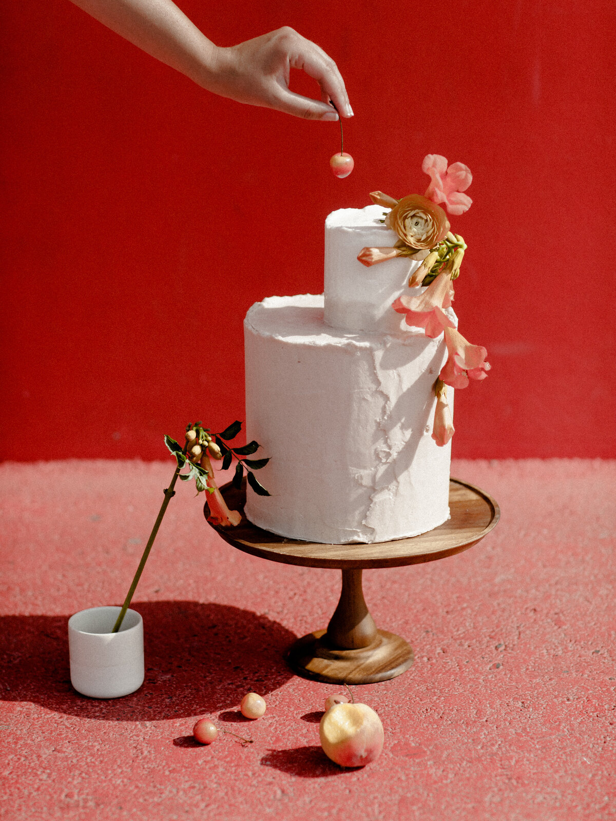 AnniesCakeSeries-21