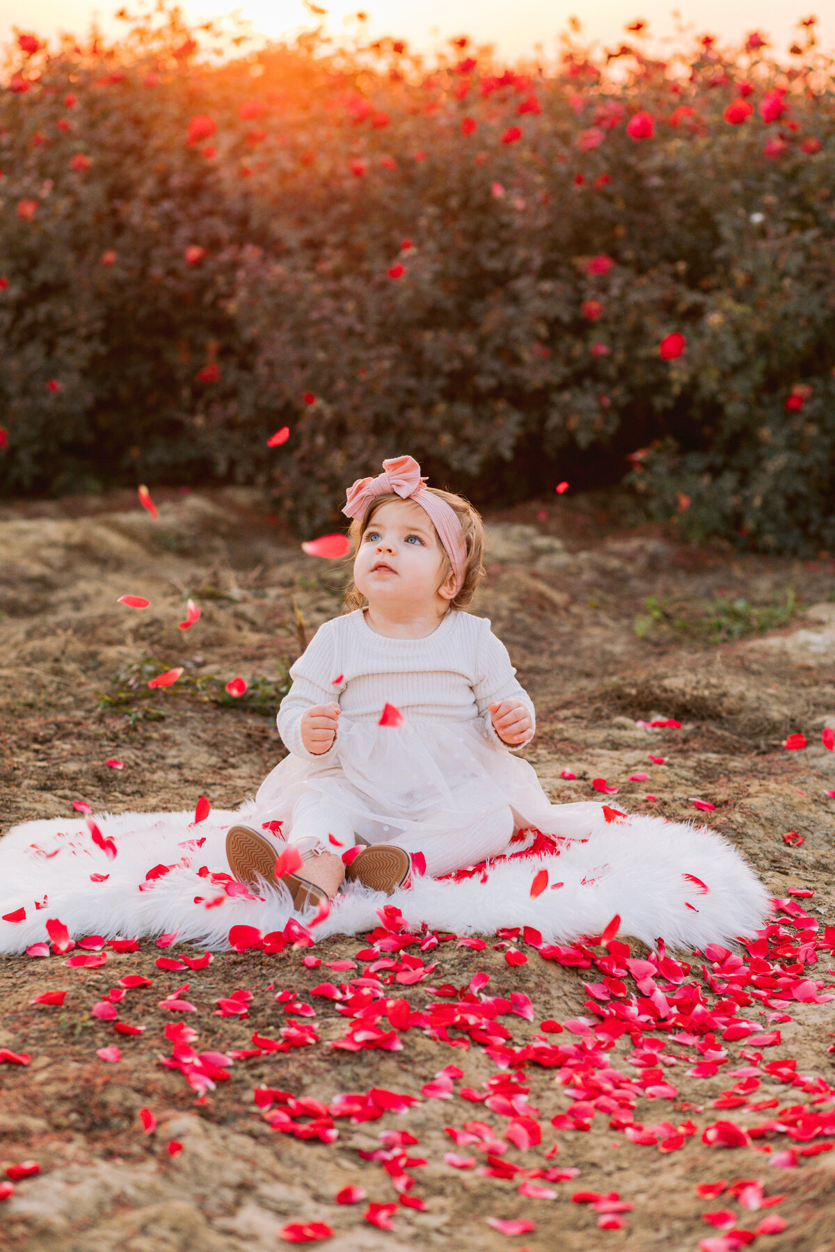 adamtphotos-ritchie-family-9064(1)