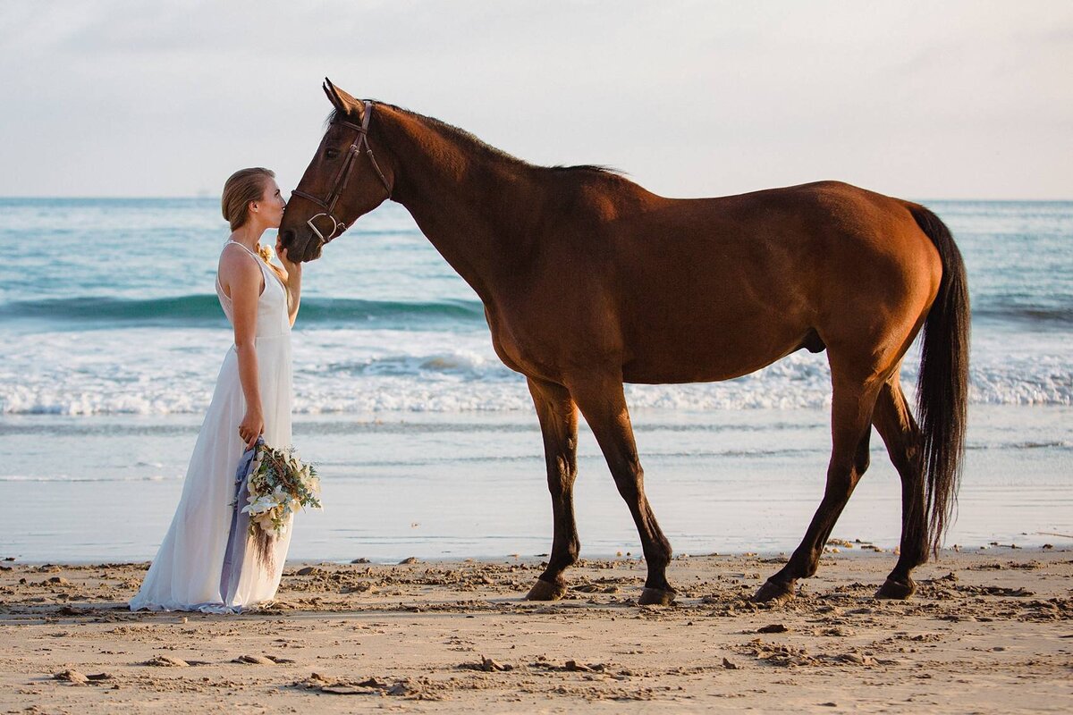 _MG_4732TT__ShalimarStudios