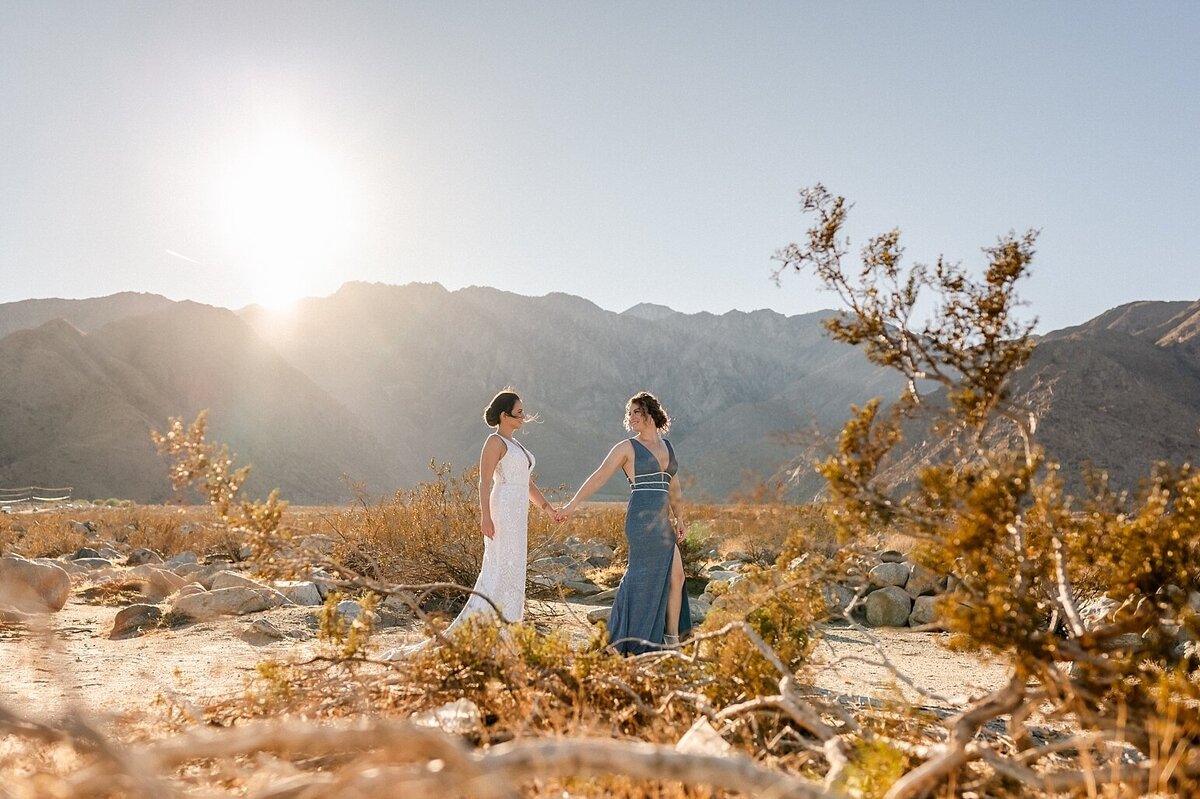 two brides walking in the desert