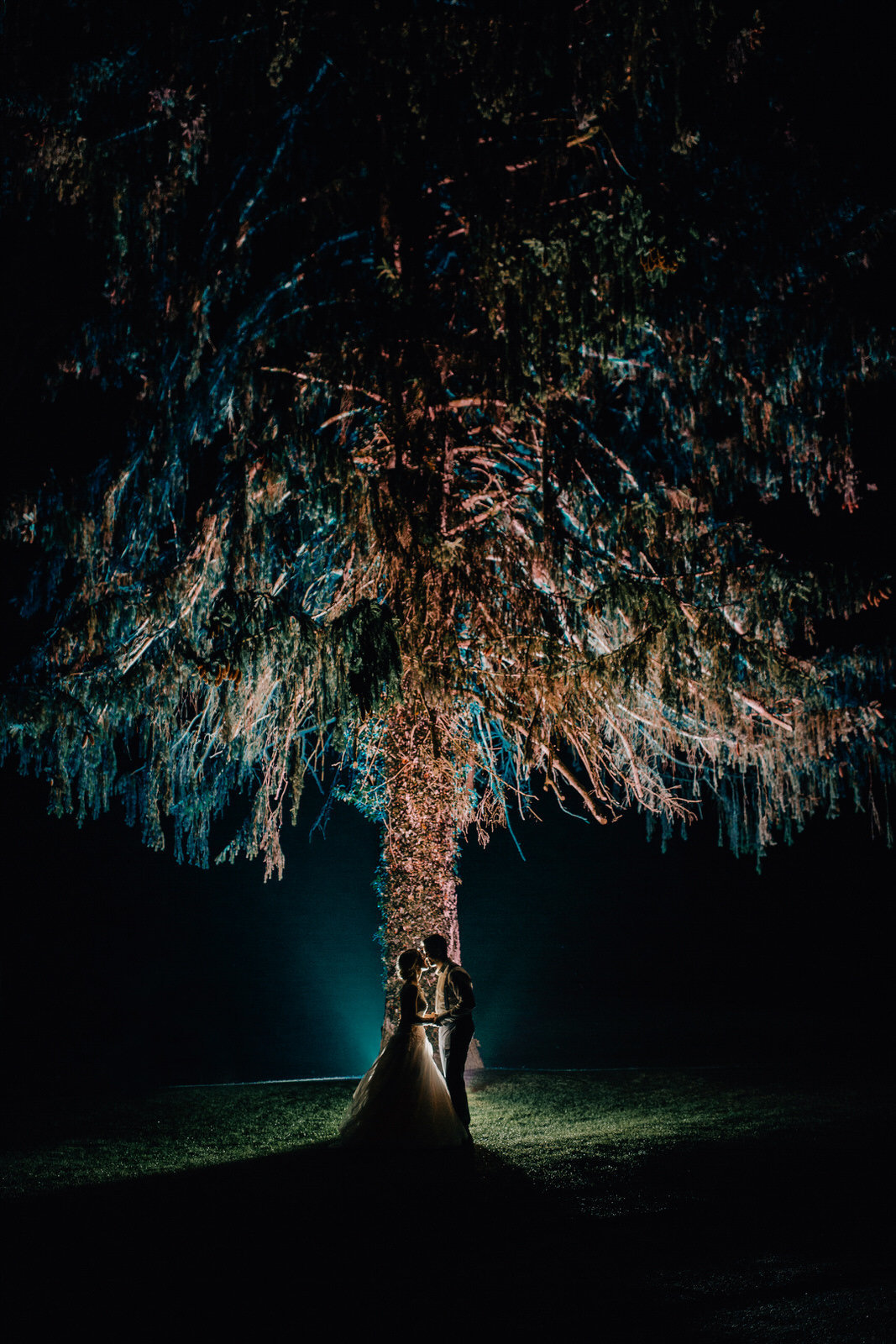 Brautpaar vor Baum in der Dunkelheit