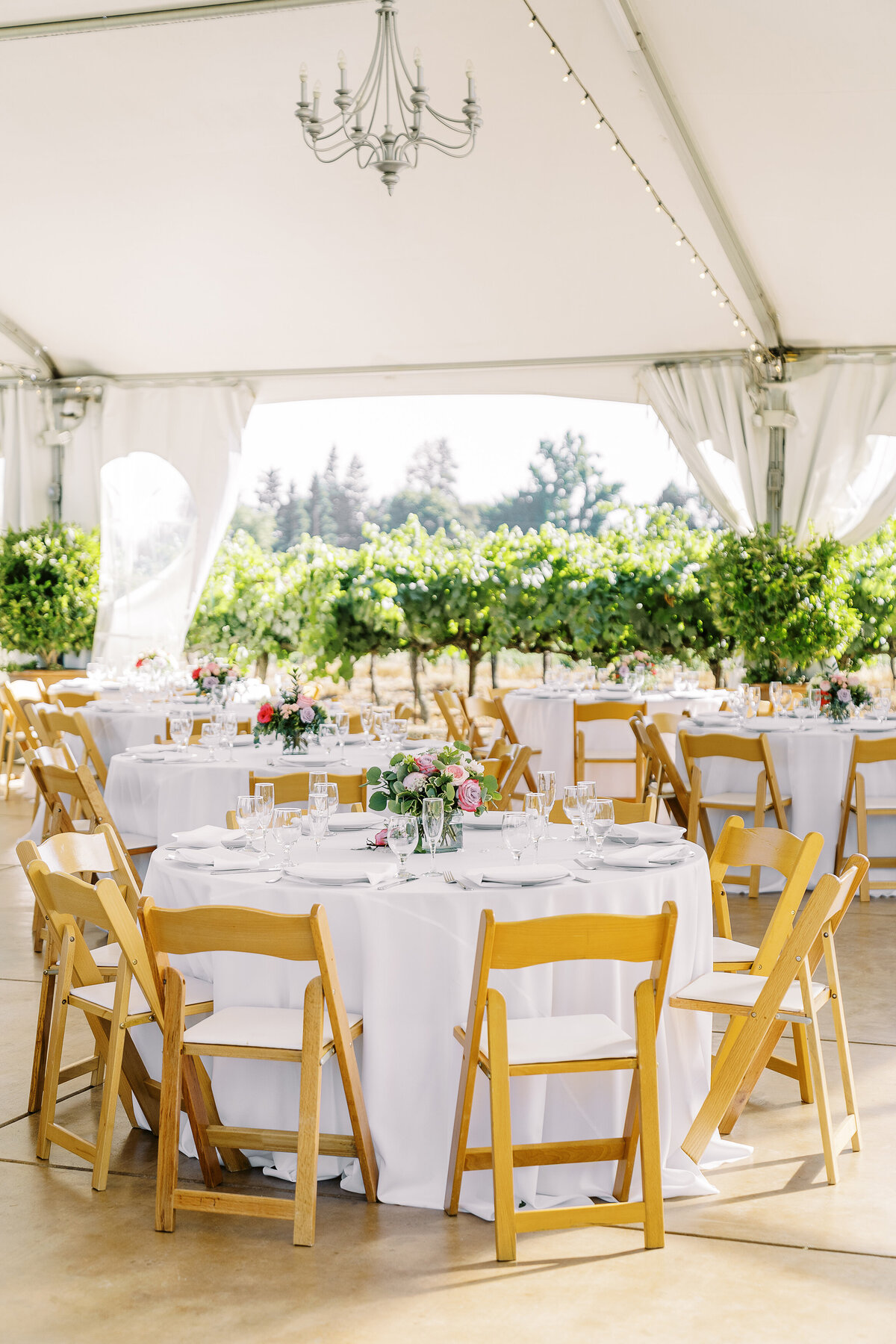 scribner-bend-vineyards-sacramento-wedding-027