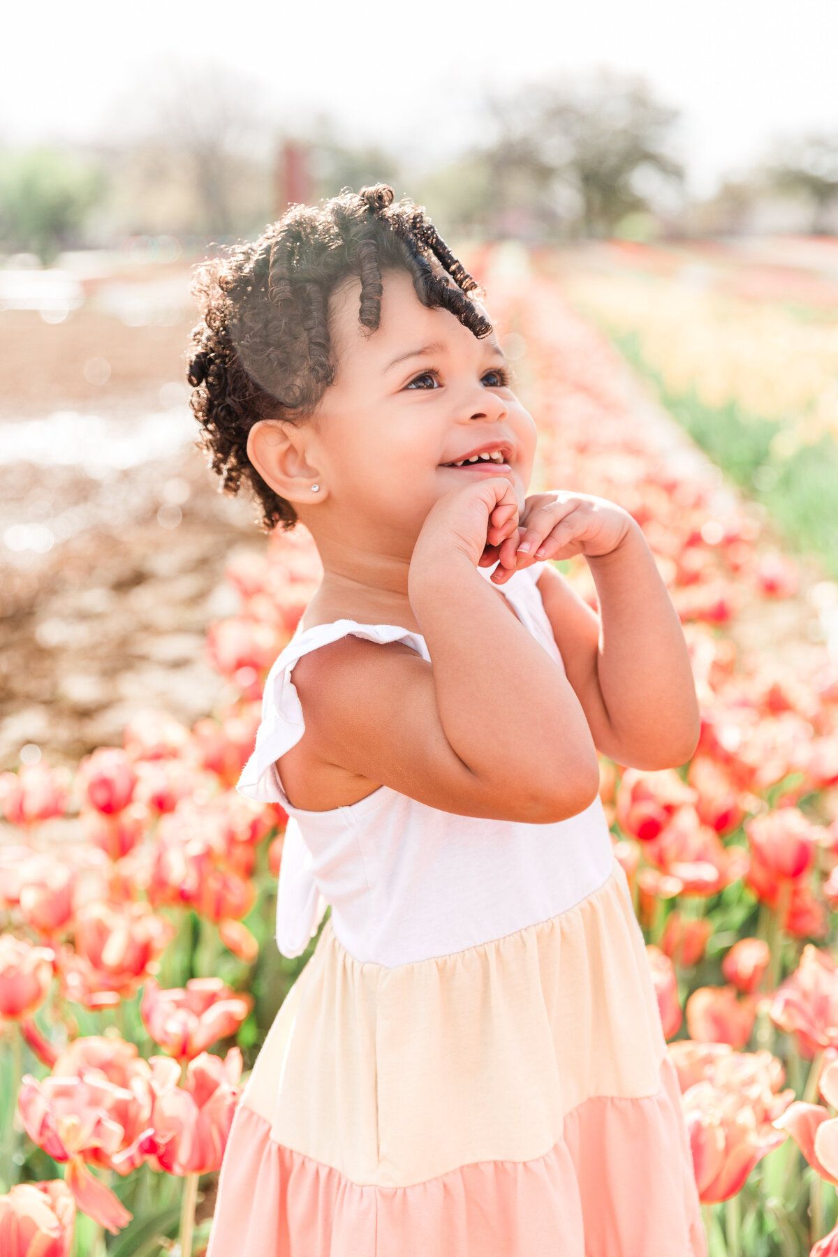 Tulipalooza24_EllisCountyMinis_JessicaDiarse_25