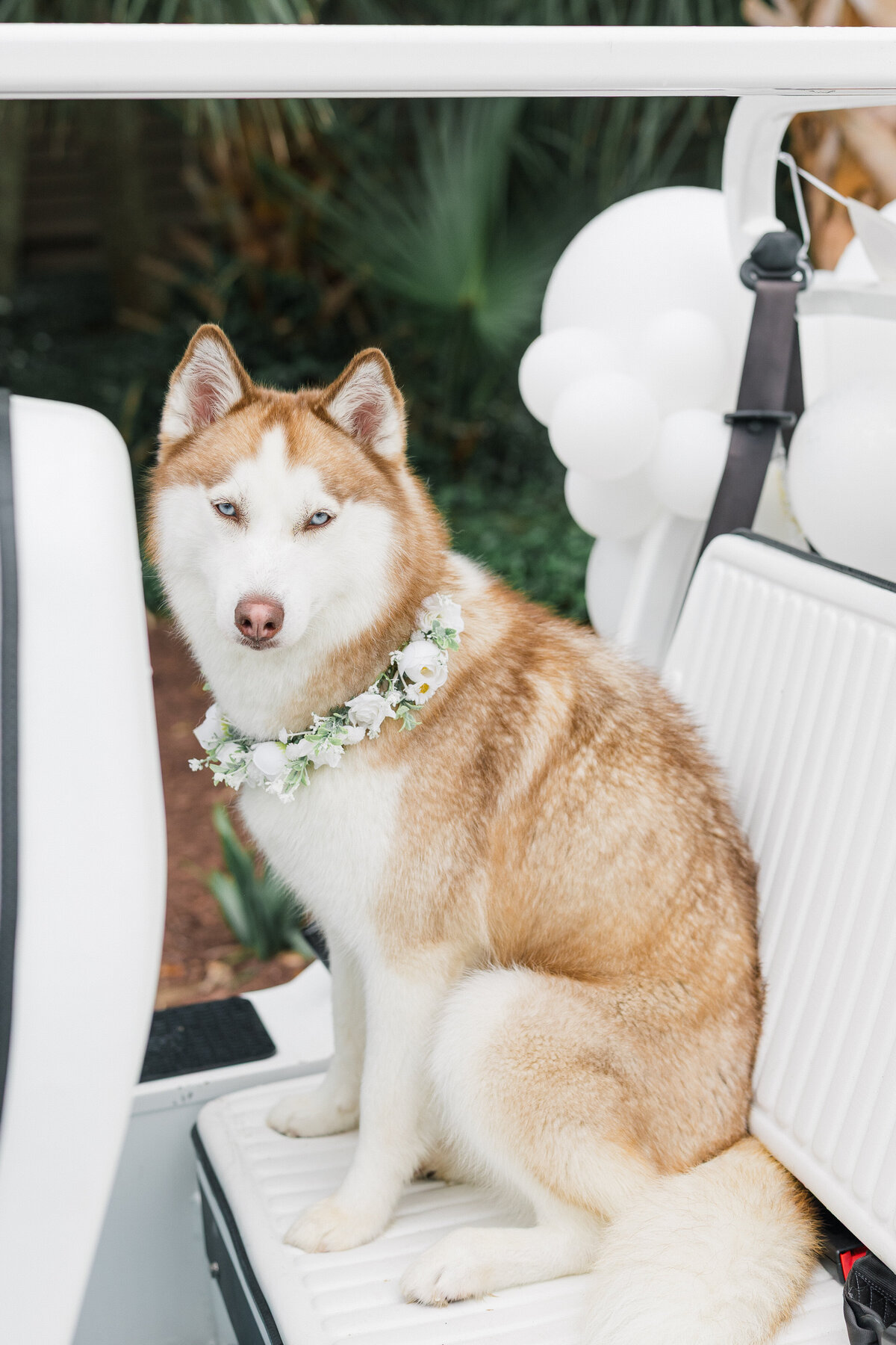 Claire +Jake-46-Makenzie Cioffi Photography LLC_ 2025