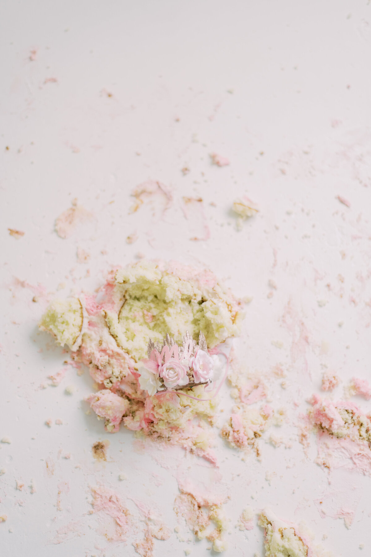pink cake smash on the floor after first birthday photos in burlington.