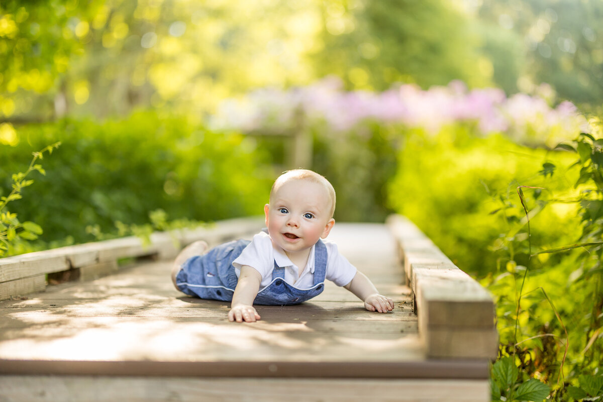 chelmsford westford family photographer six month old summer