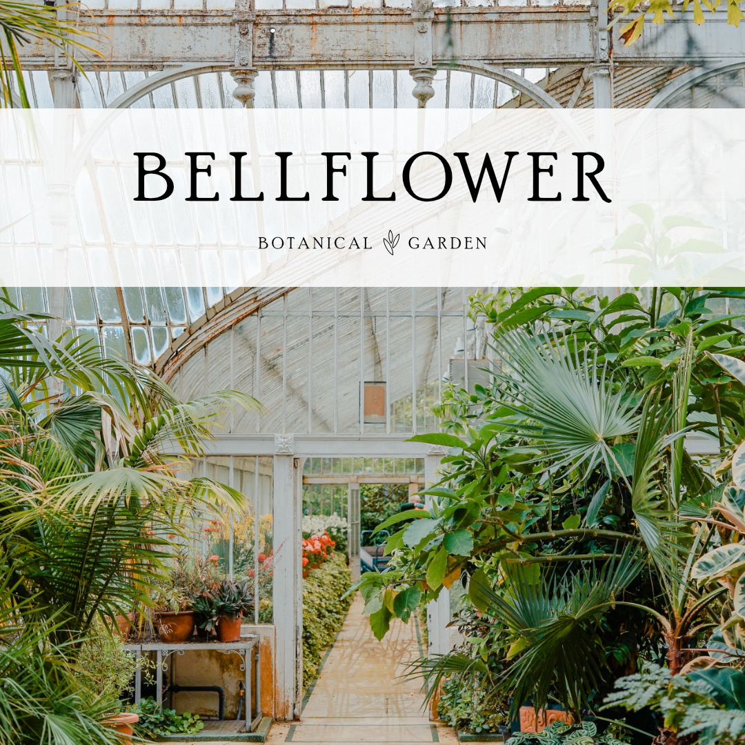 bellflower botanical garden logo