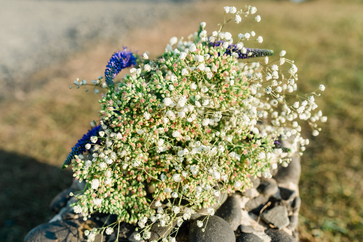 Cannon-Beach-Elopement-Photographer-5