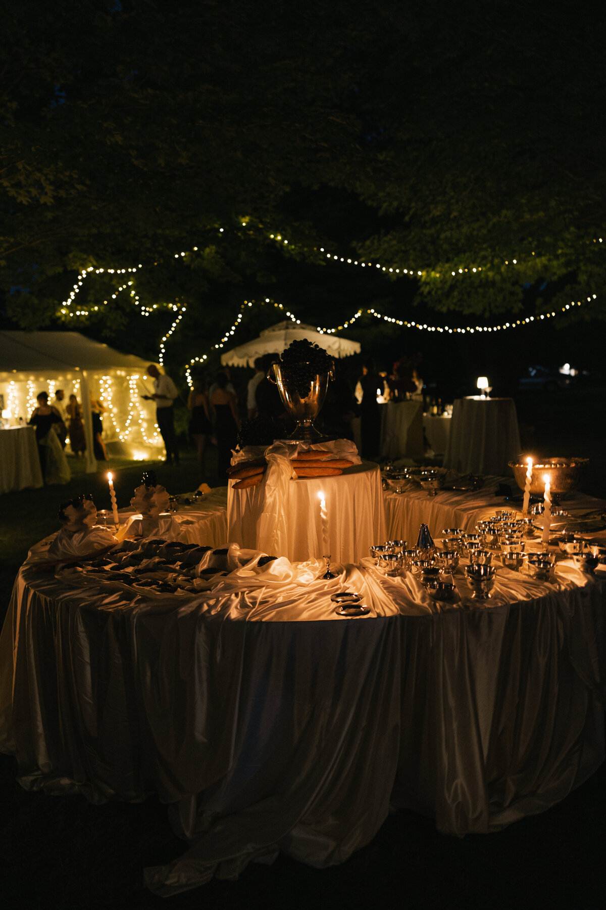 Midwest-Wedding-Planner-Q-Jancola-4243