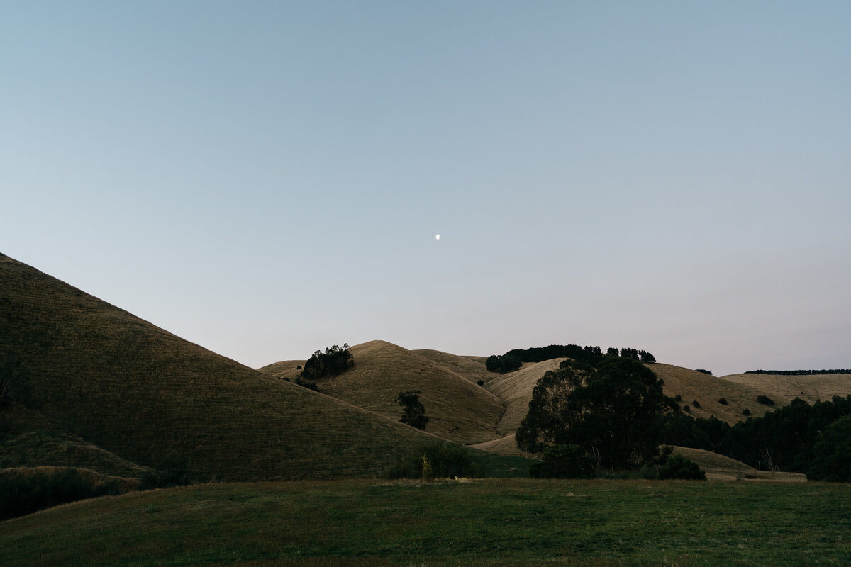 Courtney Laura Photography, Yarra Valley Wedding Photographer, Farm Society, Dumbalk North, Lucy and Bryce-1017