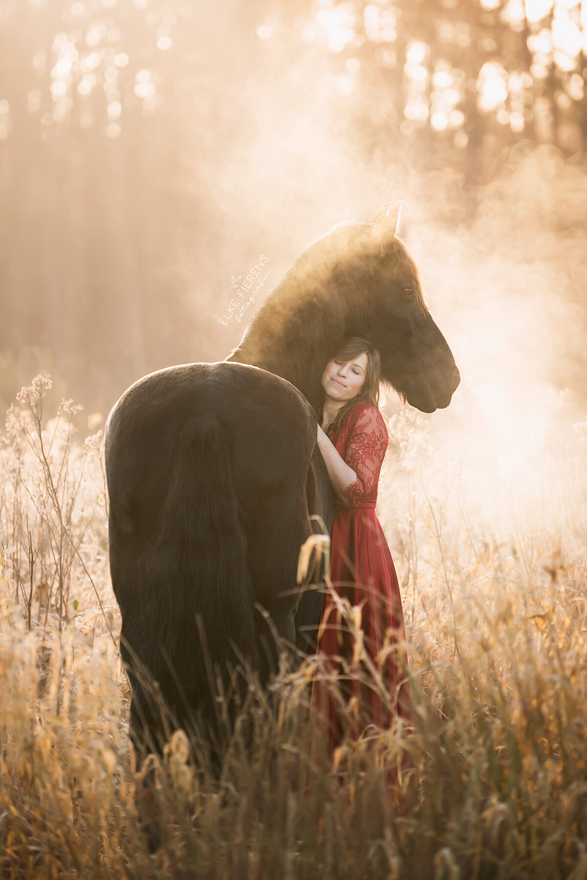 paardenfotograaf - connectiefoto's - paard en ruiter - romantische paardenfotografie