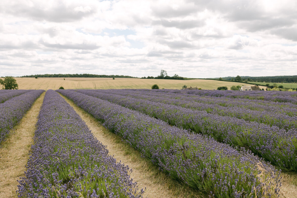 CotswoldsDay2-145