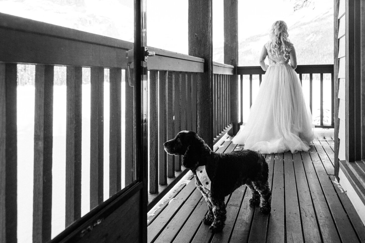 0272-Brittany&JeffWedding-2