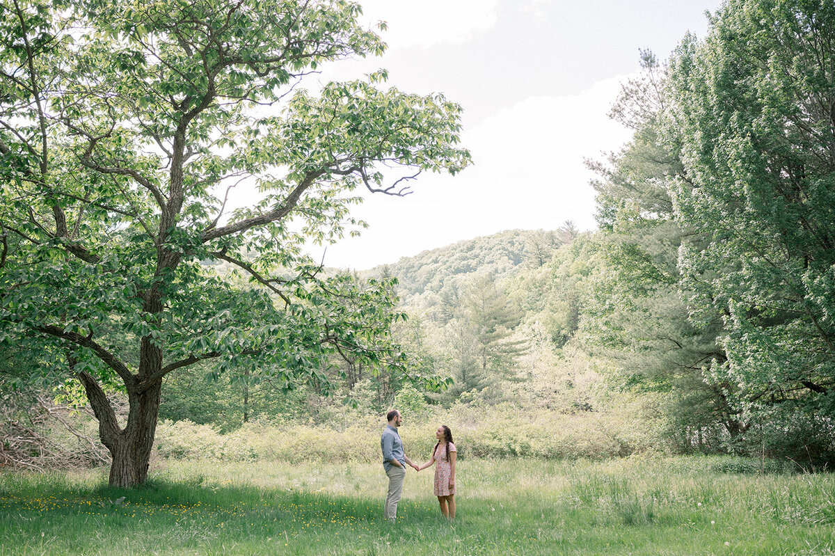 carmen-may-photography-ohiopyle-pa-engagement-95