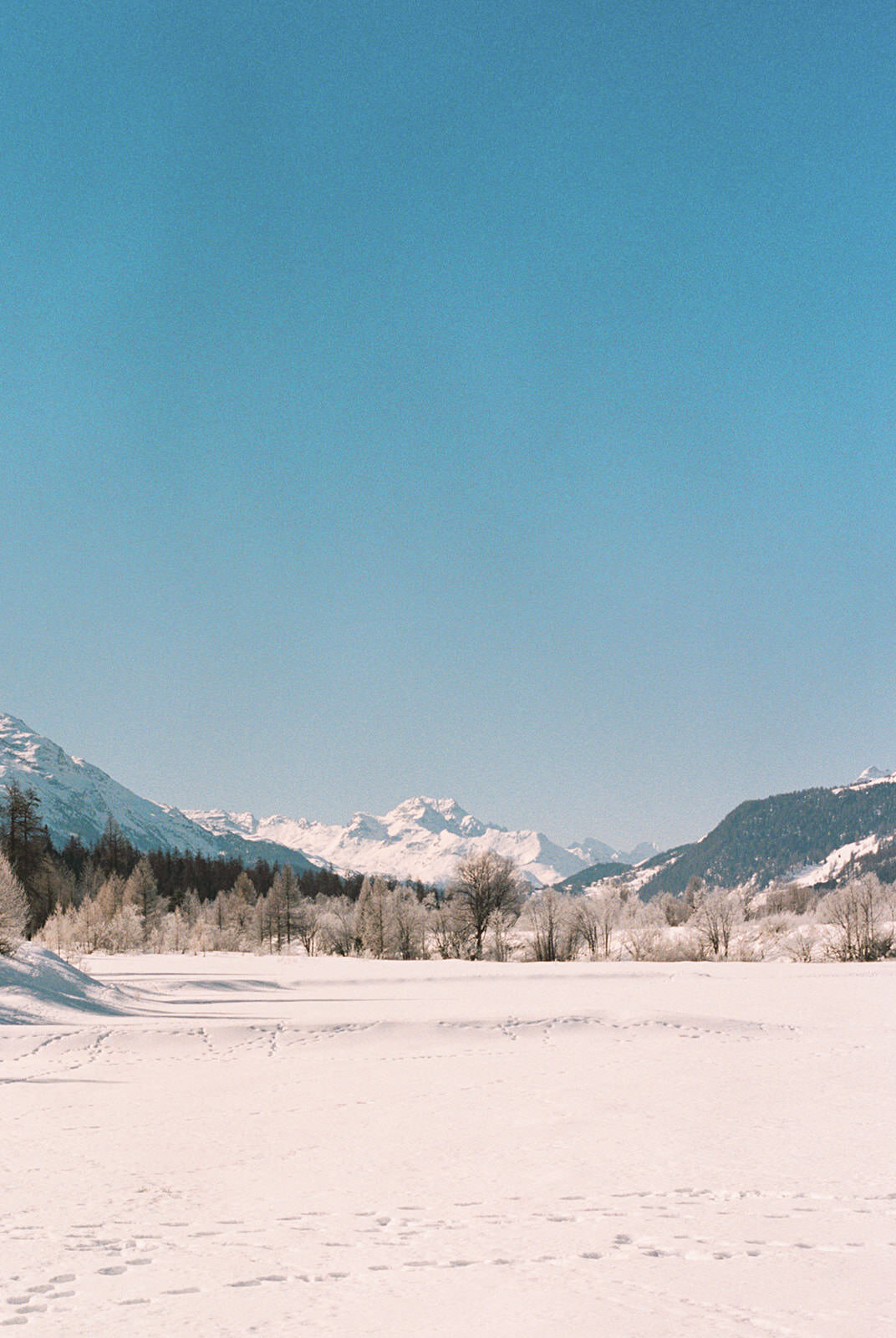 Powers_Wilson_Switzerland_Wedding_Landscapes_TaraHodgesPhotography035