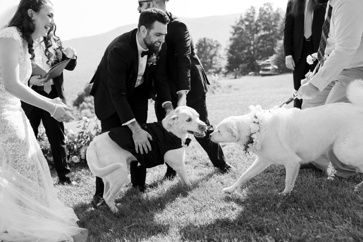 Blue-Ridge-Mountains-Wedding-73