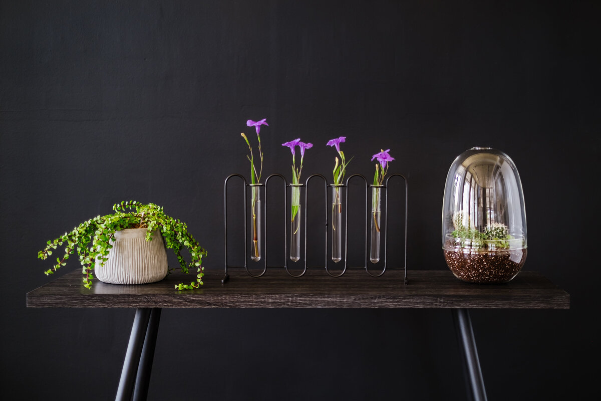 September 2019 ACD Store-101