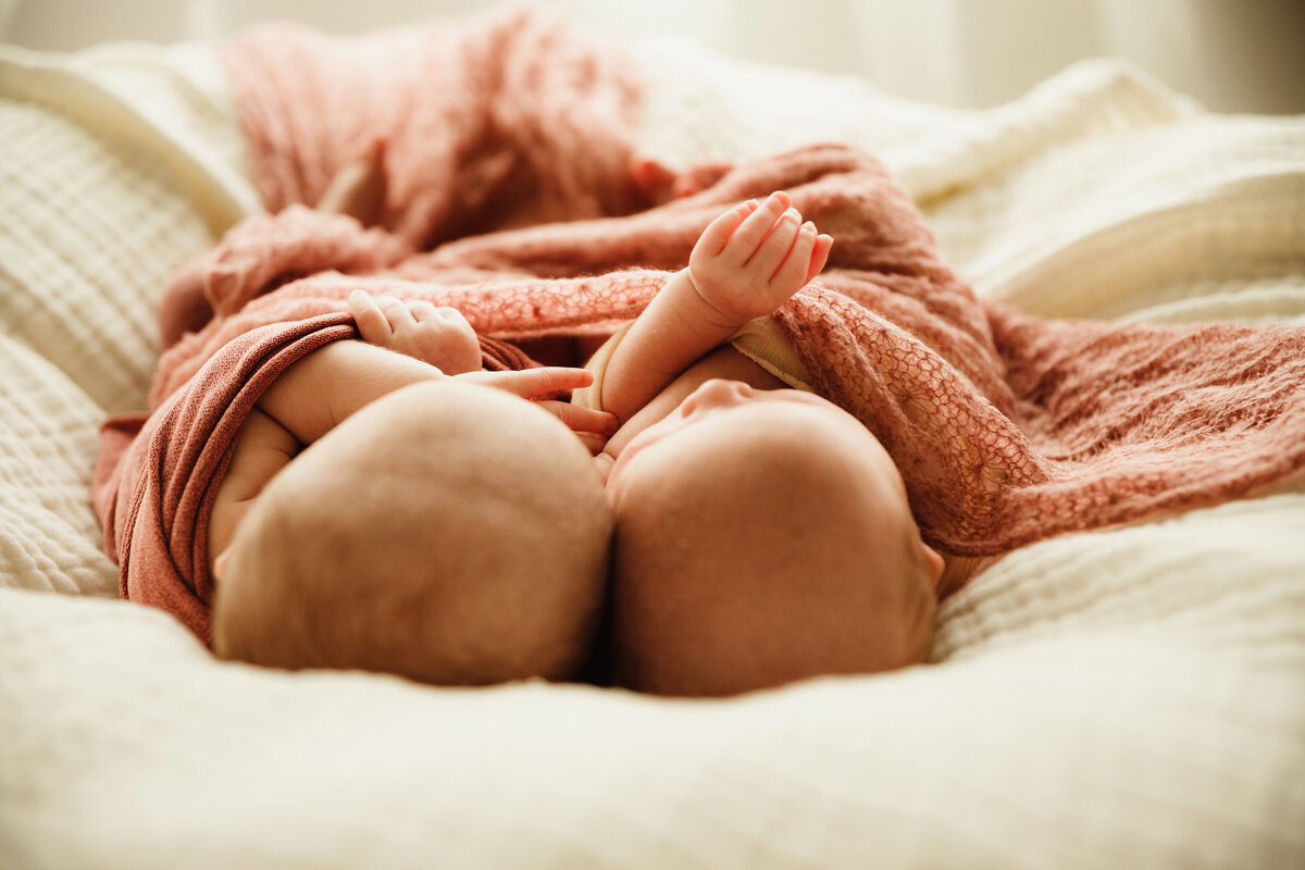 twin newborns snuggled together in syracuse photo studio . Photography