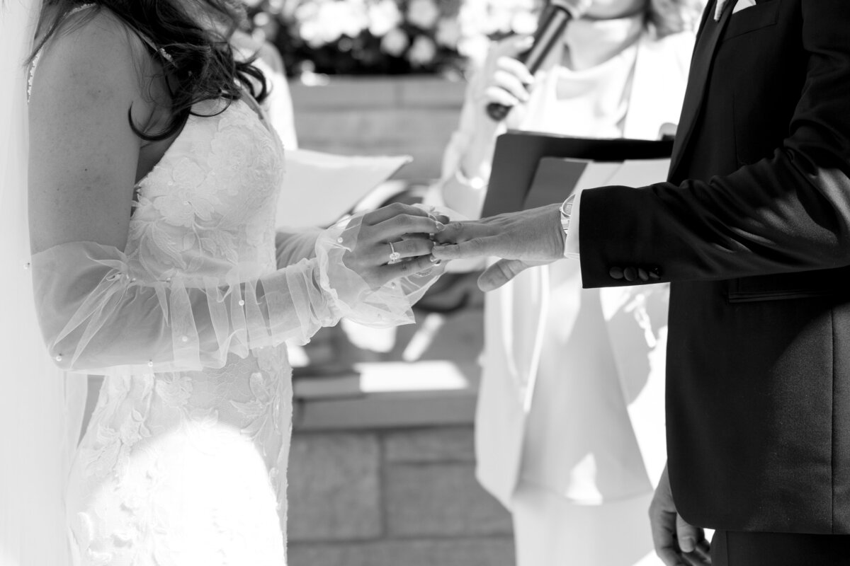 24.06.15-Alanna+AlijhaWedding-4341