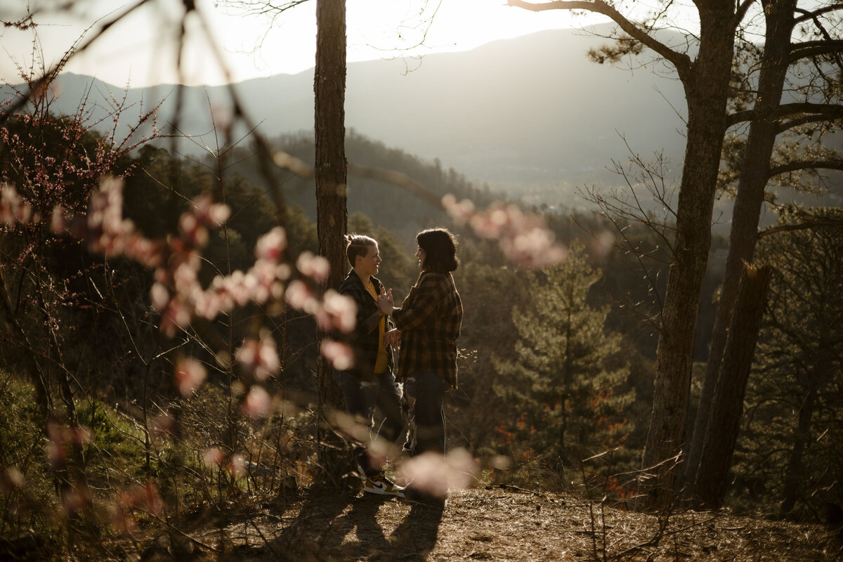 smoky mountain photographer (12)