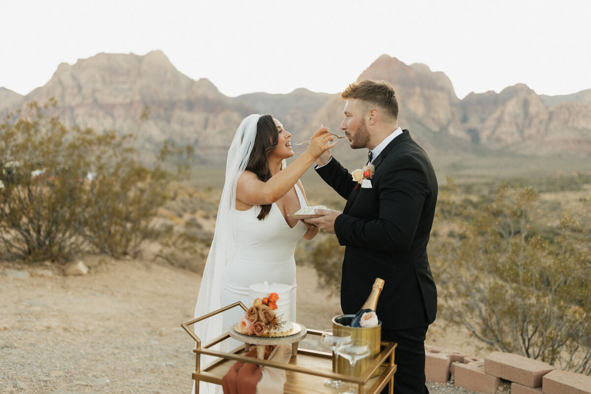 Cascade & Canyon Photography | Las Vegas wedding photographer31