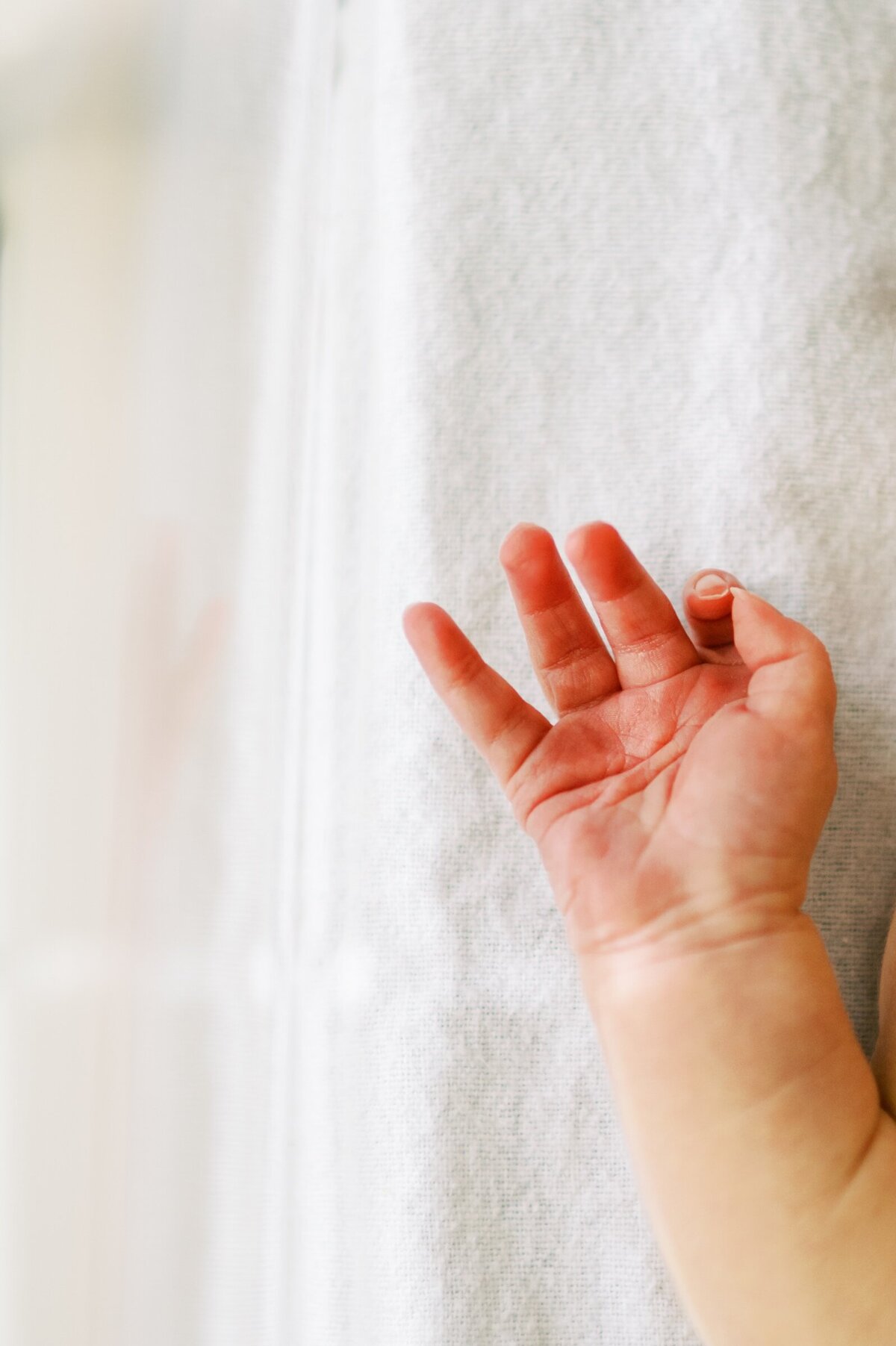 Nashville-Newborn-Photographer-25