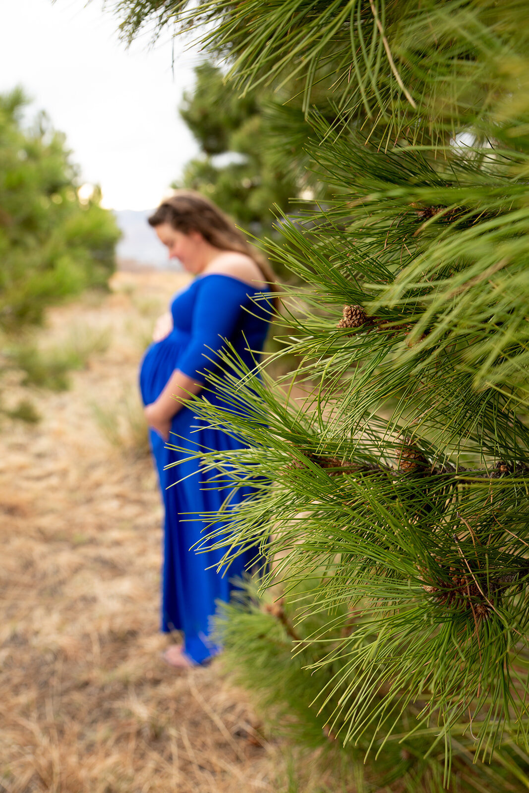 Mandy Penn Photography- McCarthy Maternity 2020 (17 of 24)
