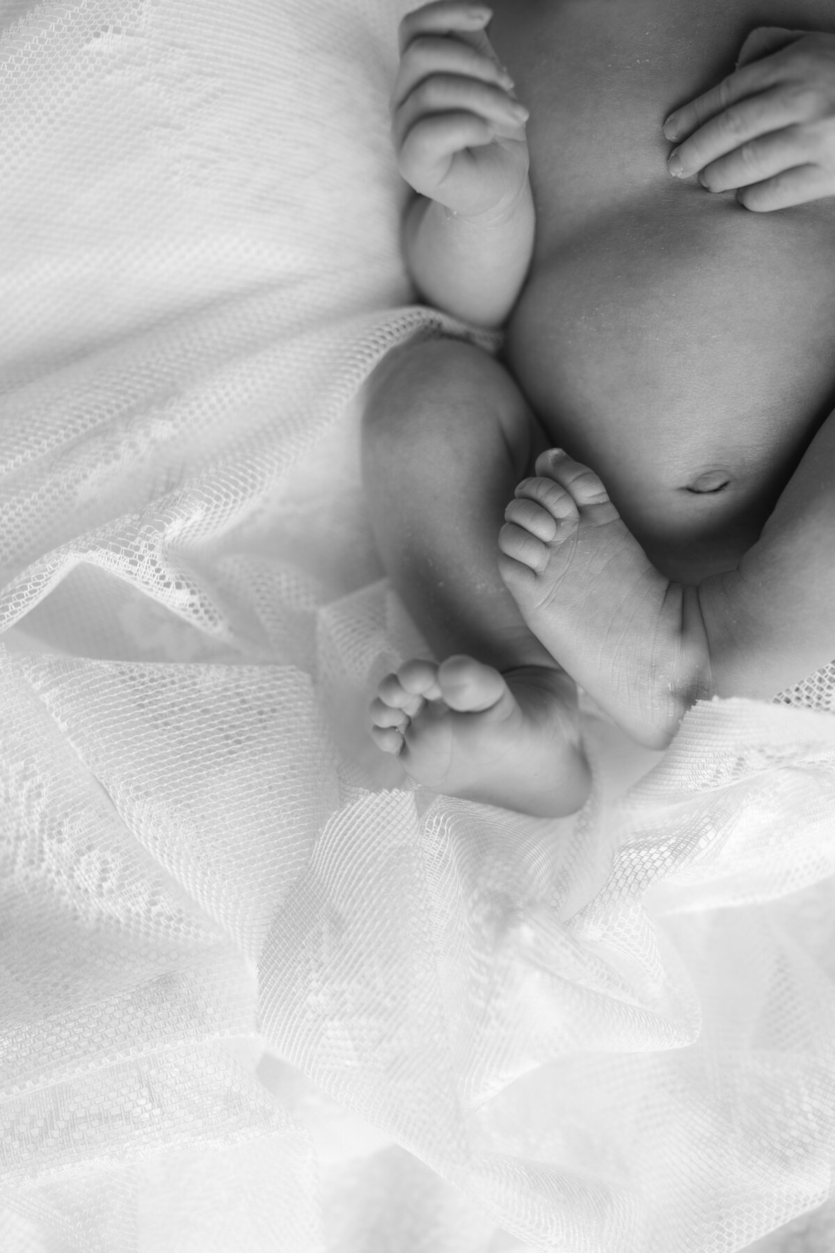 Lola_Newborn_22_Purebylysan-41