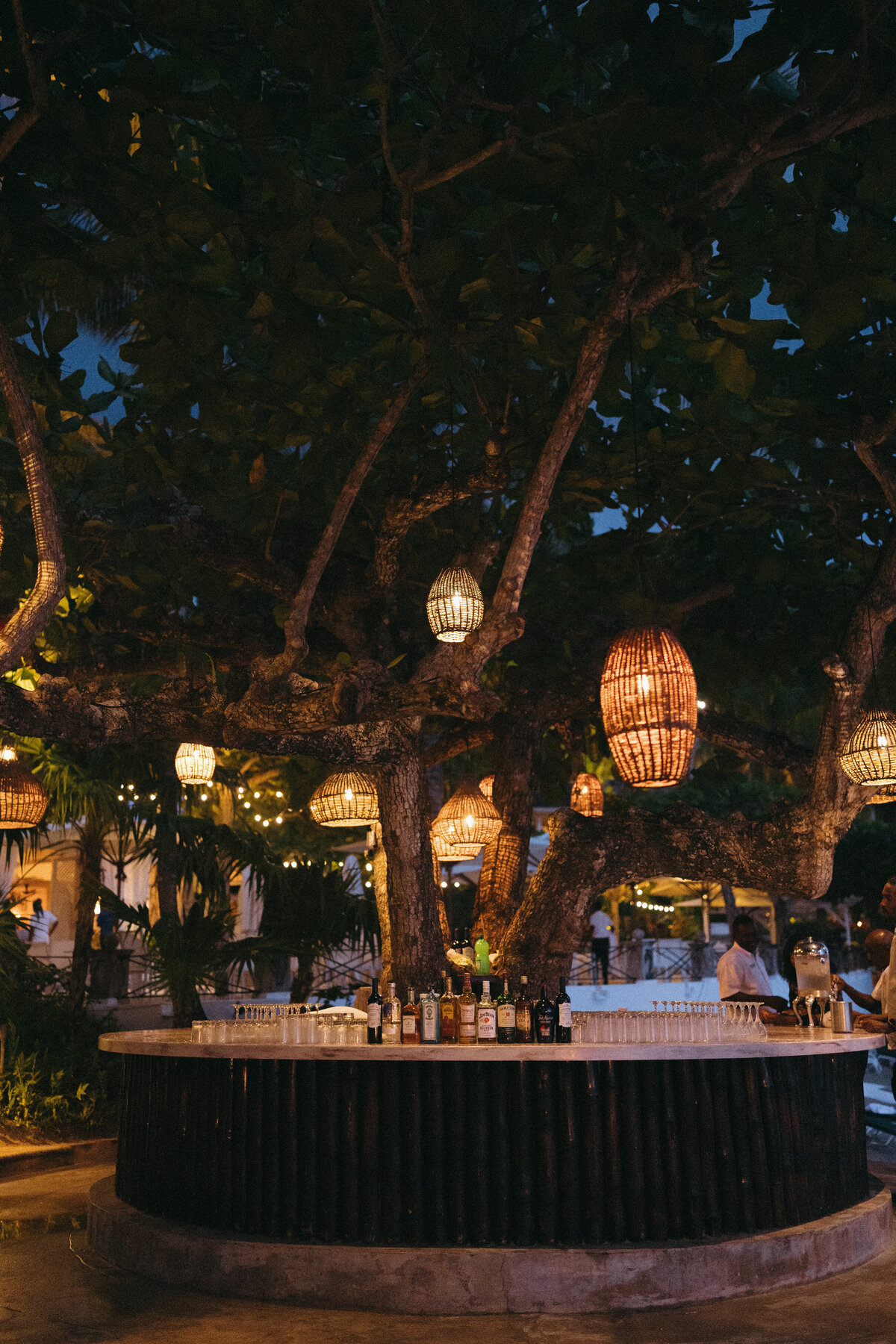 250509HANTYL-adv0032