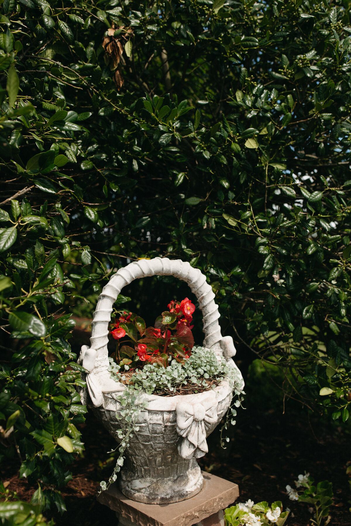 harringtononthebay-48