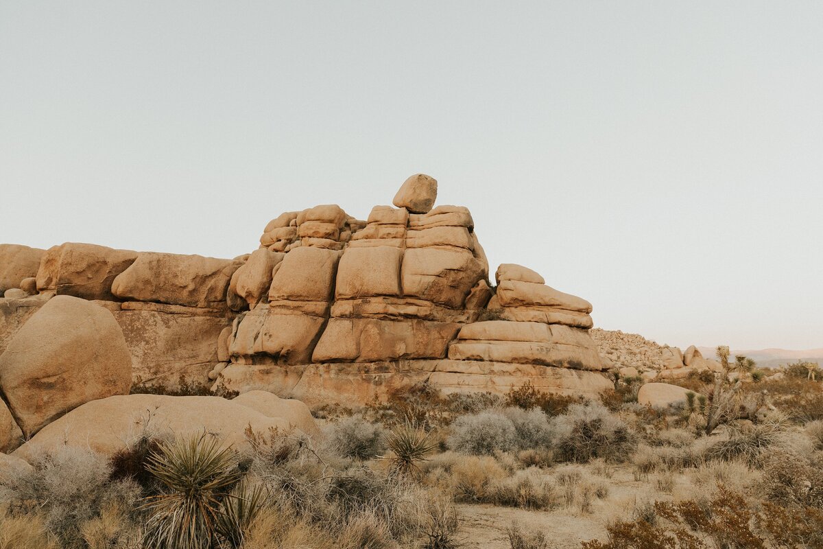 Joshua-Tree-Elopement-22