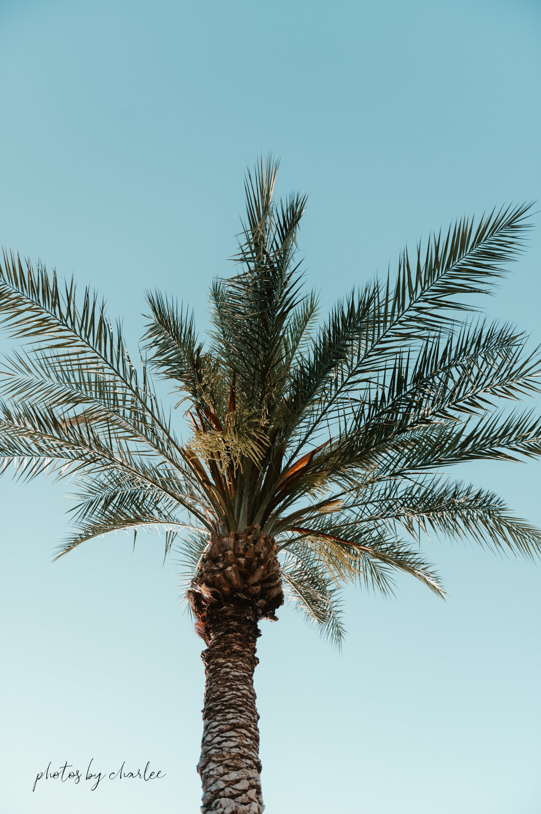 Scottsdale Photographer-32