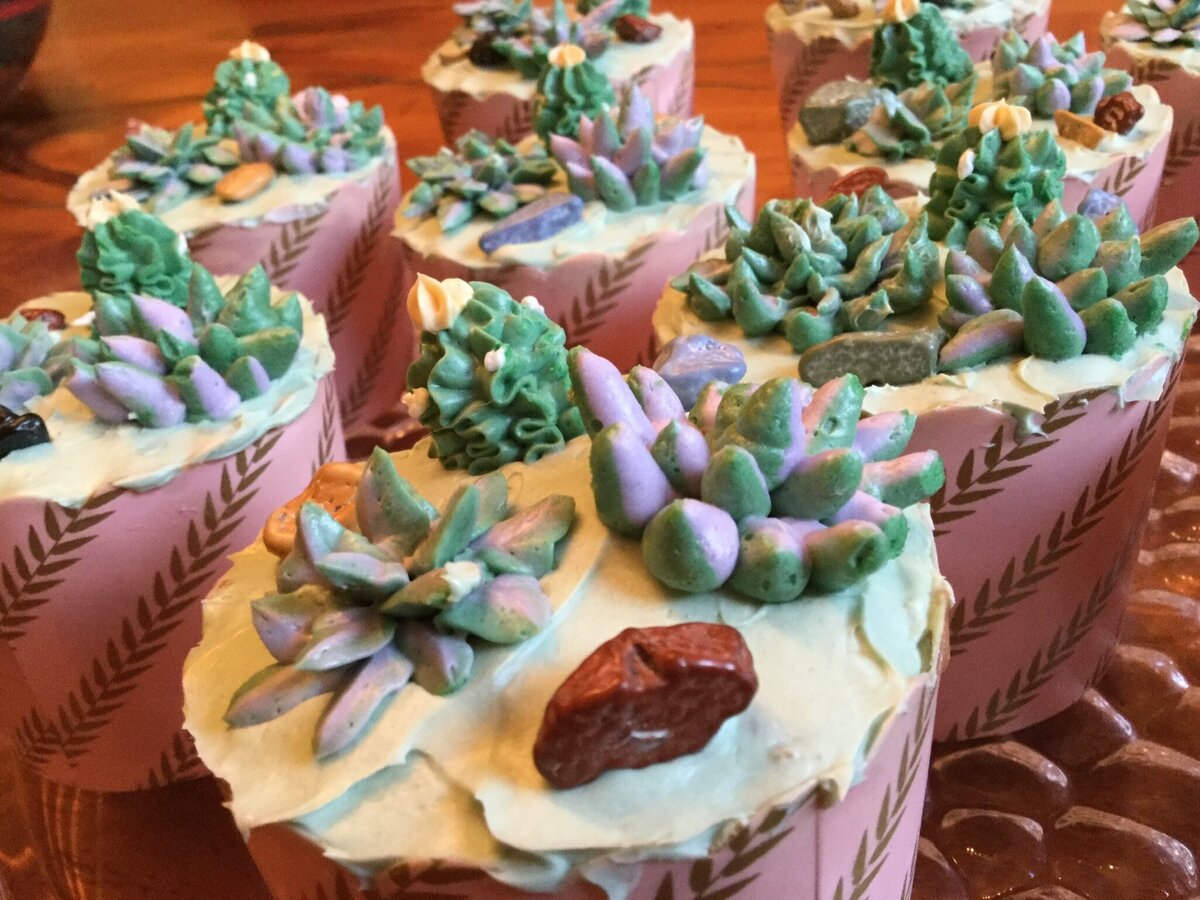 Buttercream piped succulents on cupcakes with chocolate rocks