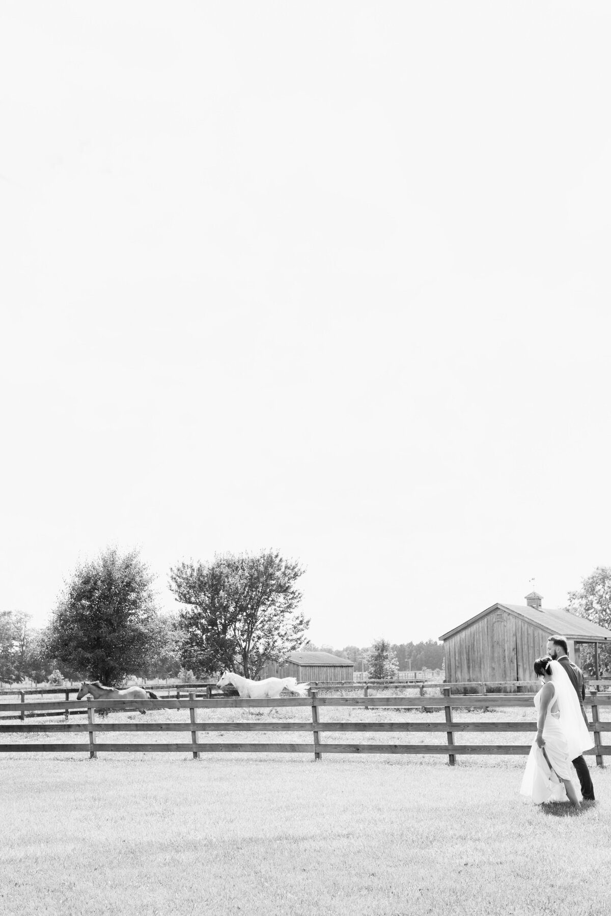 horse ranch wedding