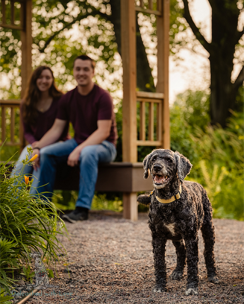 Dog standing with couple sitting in background