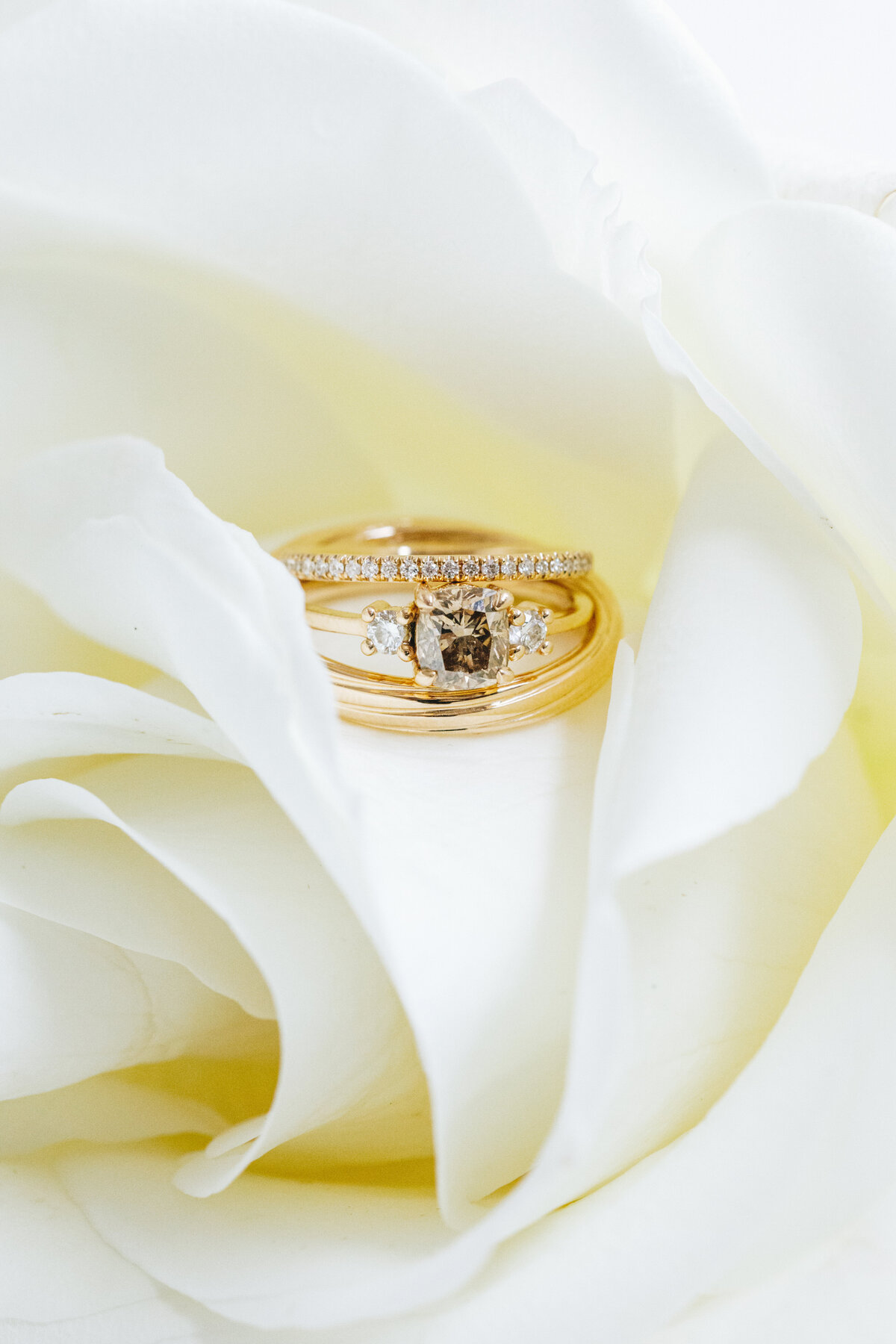 CD_Prospect_Park_Boathouse_Wedding_Wild_Sound_Photography_1J6A4884