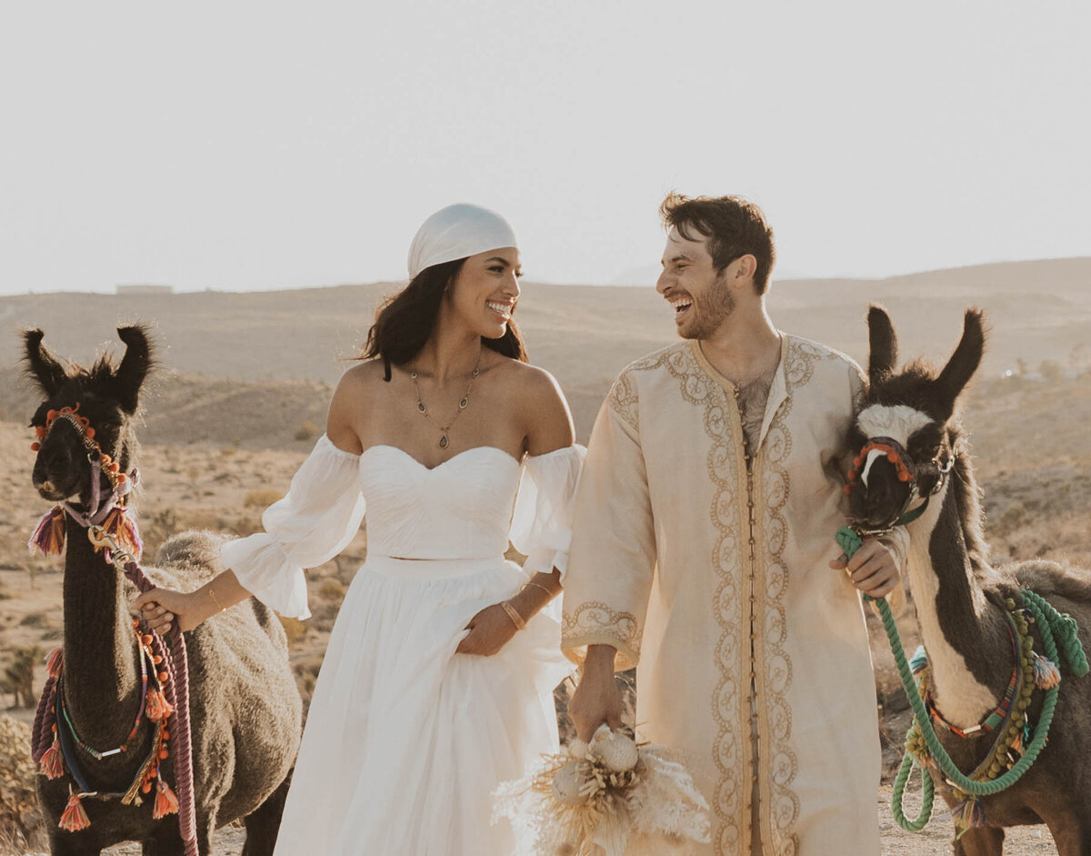 couple with llamas at their elopement
