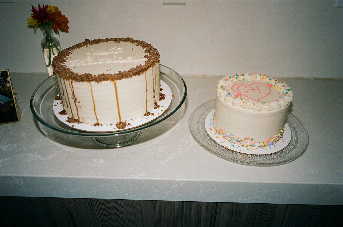 chicago film wedding photographer