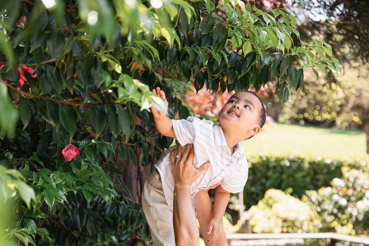 Piedmont Park Japanese Teahouse_Bay Area Family Photography_Valarie Duran Photography-7735