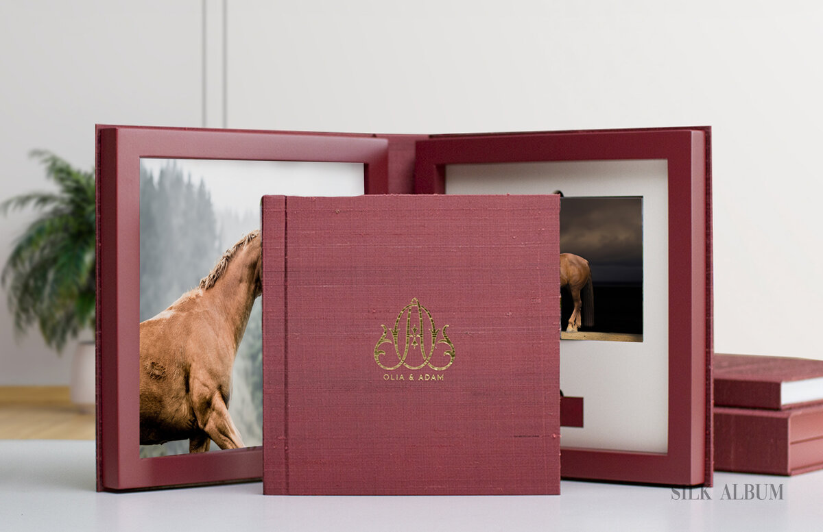 110 - pg 218 -219 - Spread - Silk Album