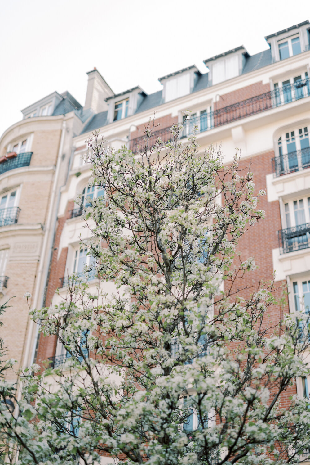 Maternity session in Paris-HD-1