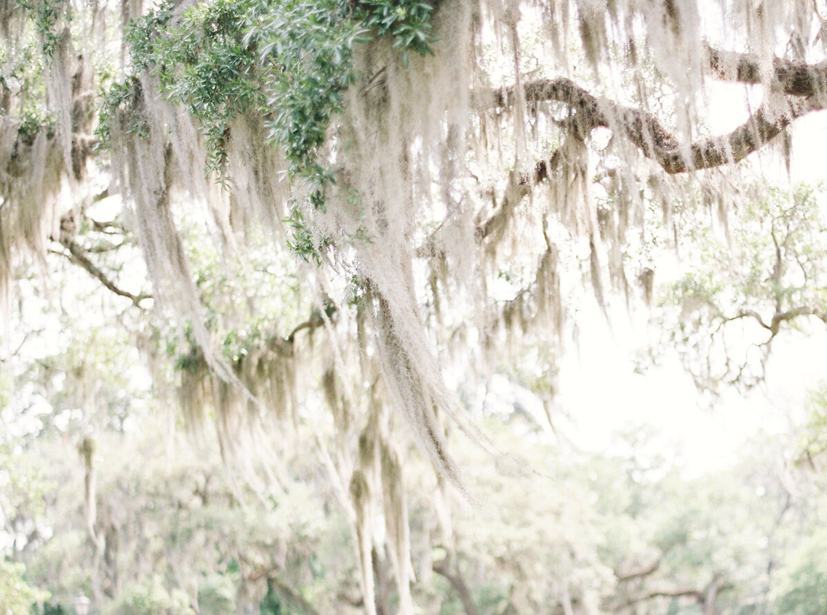 Palmetto-Bluff-Wedding-Planner-For-Love-Of-Love-59
