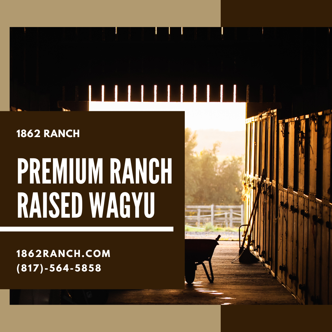 Premium Ranch raised Wagyu