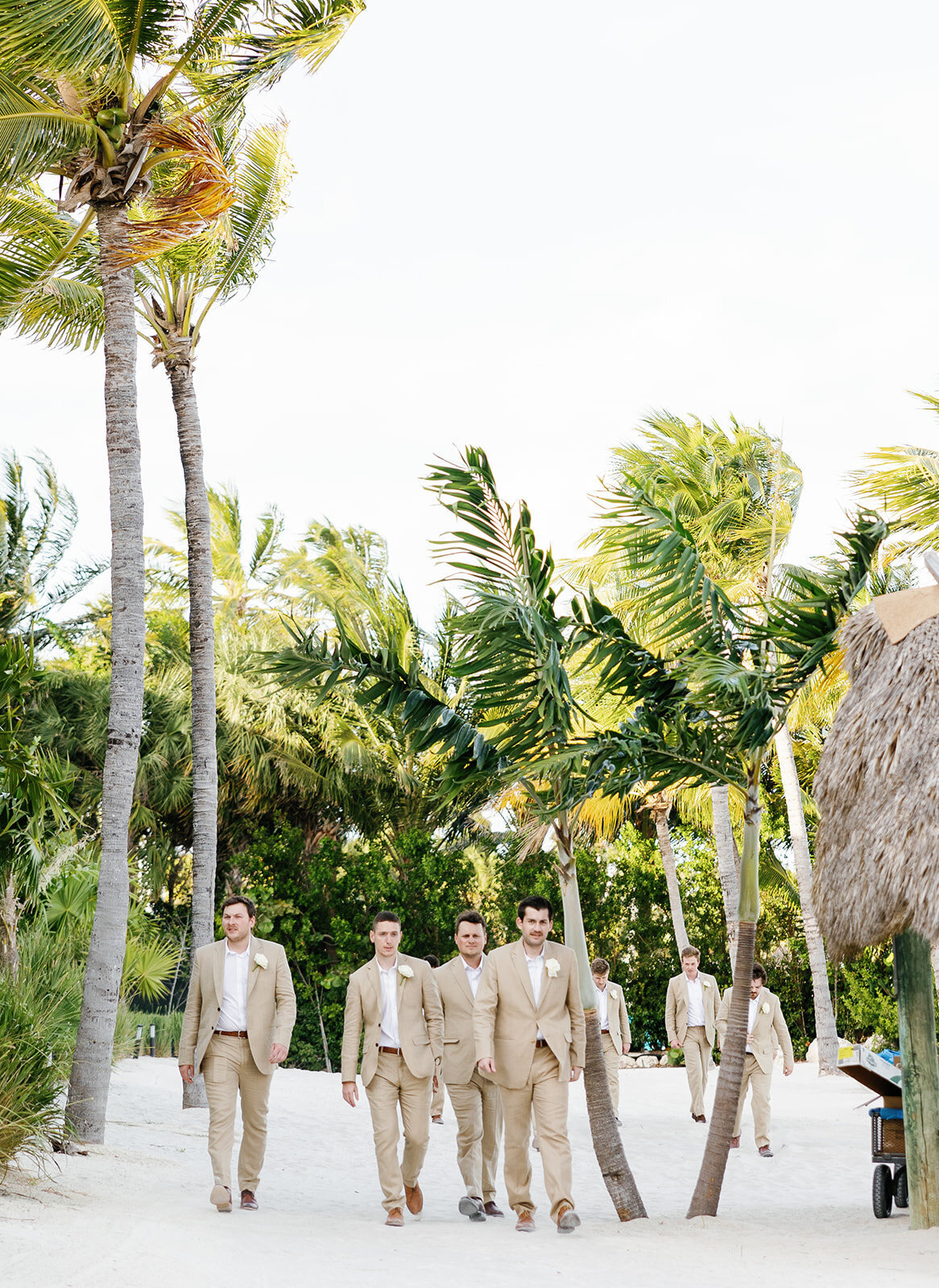 Stephen and his groomsmen in tan suits strolling through Cheeca Lodge’s tropical landscape.
