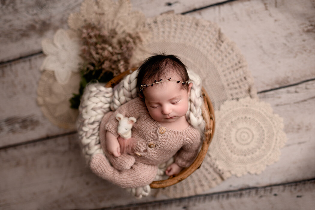Brighton Newborn Photographer baby holding lamb by For The Love Of Photography