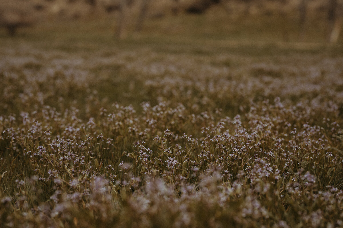LWP_5506